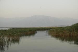 Visualizza al di sopra di il fiume per tartaruga spiaggia, daliano, tacchino foto