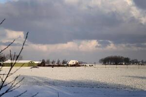 inverno paesaggio nel il Olanda foto