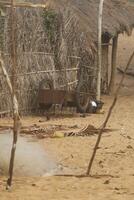 pescatori villaggio a il spiaggia di mille dollari popò, benin foto