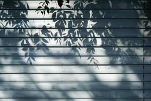 finestra persiane ombra con alberi ombra design elemento foto