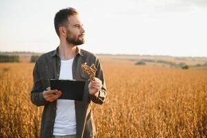 agronomo ispeziona soia Ritaglia nel agricolo campo - agro concetto - contadino nel soia piantagione su azienda agricola. foto