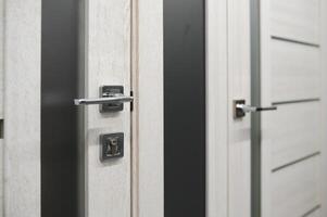 negozio finestra di porte. un' grande selezione di porte per Casa foto