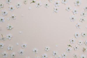 bianca pastello primavera fiore su colore sfondo . ciliegia fiorire fiore illustrazione. primavera e estate sfondo. superiore Visualizza. foto
