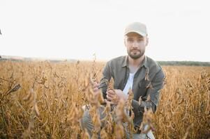 agronomo ispezionando soia fagiolo colture in crescita nel il azienda agricola campo. agricoltura produzione concetto. giovane agronomo esamina soia Ritaglia su campo nel estate. contadino su soia campo. foto