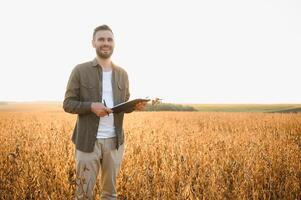 agronomo ispeziona soia Ritaglia nel agricolo campo - agro concetto - contadino nel soia piantagione su azienda agricola. foto