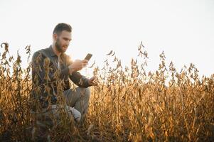 agronomo ispeziona soia Ritaglia nel agricolo campo - agro concetto - contadino nel soia piantagione su azienda agricola. foto