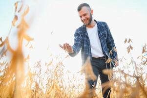 contadino agronomo nel soia campo controllo raccolti. biologico cibo produzione e coltivazione foto