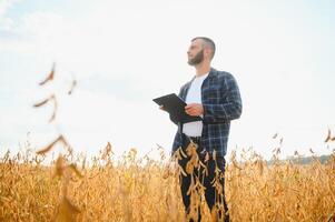 contadino agronomo nel soia campo controllo raccolti. biologico cibo produzione e coltivazione foto