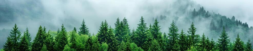 pittura di un' foresta con un' montagna nel il sfondo foto