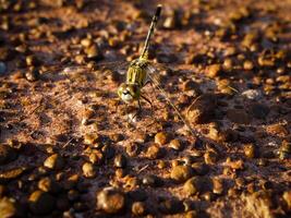 naturale pietra struttura e superficie sfondo. foto