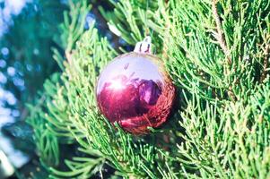 Natale giorno o Natale decorazione , Natale palla su pino albero foto