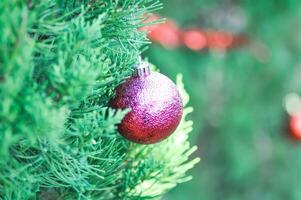 Natale giorno o Natale decorazione , Natale palla su pino albero foto