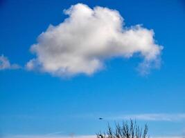 cumulo nuvole nel il cielo. soffice nube forme foto