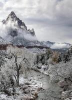 Sion nazionale parco inverno foto