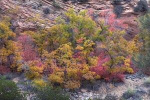 Sion autunno colori foto