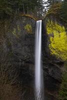 latourell cascate Oregon foto