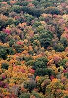 Pennsylvania autunno colori foto