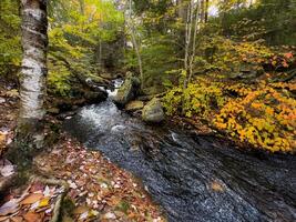 ricketts glen state park foto