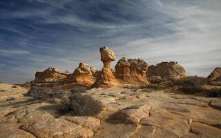 Sud coyote butte foto