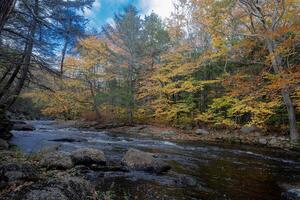 nuovo Hampshire autunno colori foto