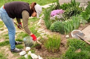 giardiniere donna piantare impianti nel il giardino. giardinaggio concetto. foto