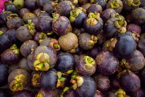 mangostano frutta visualizzato nel supermercato scatola foto