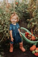 ragazza raccolta Ritaglia di verdure e frutta e mette esso nel giardino carriola. autunno concetto foto