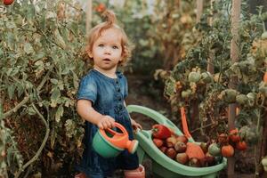 poco ragazza nel un' blu vestire, gomma da cancellare stivali e un' cannuccia cappello è irrigazione impianti nel il autunno giardino foto