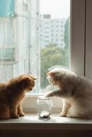 bianca e Marrone gatti di il Britannico razza giocare con un' farfalla quello mosche nel un' bicchiere vaso foto