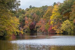 autunno colori a il lago foto