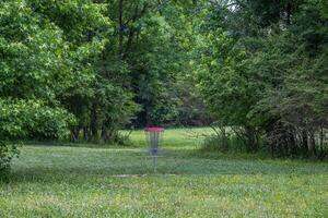 disco golf cestino nel un' parco foto