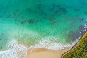 orizzonte porto aereo serenità cattura bellissimo spiaggia sabbia a partire dal sopra, un' tranquillo arazzo di costiero bellezza foto