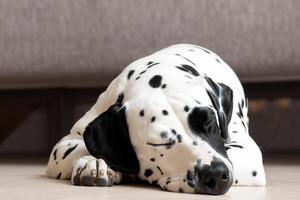 cattura il commovente espressione di un' bellissimo d'oro cane da riporto cane, un' immagine di incondizionato amore e gioioso compagnia foto