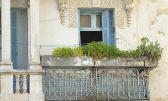 urbano oasi lussureggiante balcone giardino fuga francese colonia foto