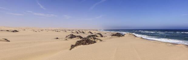 immagine di il dune di Sandwich porto nel namibia su il atlantico costa durante il giorno foto