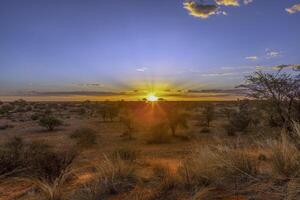 panoramico immagine al di sopra di il namibiano kalahari nel il sera a tramonto con blu cielo e leggero nuvole foto