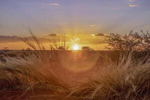 panoramico immagine al di sopra di il namibiano kalahari nel il sera a tramonto con blu cielo e leggero nuvole foto