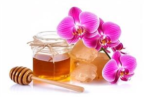 miele con rosa orchidea fiore isolato su bianca sfondo.. foto