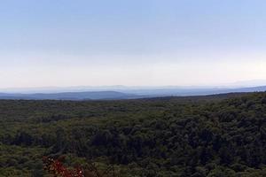 vista e cielo della foresta foto