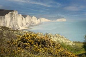 cuckmere vaven seaford foto