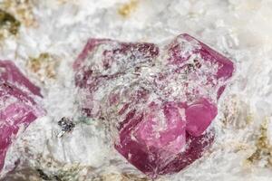 macro minerale pietra rubino nel roccia su bianca sfondo foto