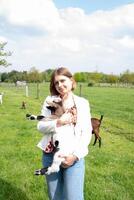 giovane donna giochi con capra bambini, alimentazione loro, sole splendente, campagna foto