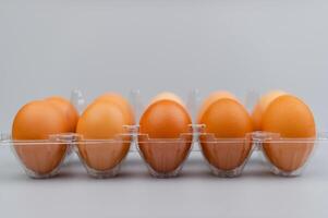 arancia pollo uova, animale uova, alto proteina cibo, colazione, uovo fotografia nel studio foto