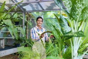 asiatico giardiniere è Lavorando dentro il serra per foresta pluviale esotico pianta controllo per peste e malattie foto