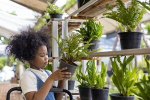 giovane africano americano ragazzo è la scelta tropicale felce e ornamentale pianta a partire dal il Locale giardino centro asilo durante estate per fine settimana giardinaggio e all'aperto attività foto