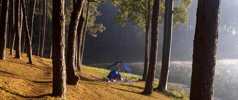 panorama singolo non in rete tenda per durante la notte campeggio con sole leggero al di sopra di nebbioso montagna e raggio di leggero e campeggio di fitta giovane, mae hong figlio, Tailandia foto