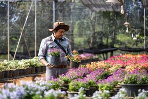 giovane asiatico giardiniere è la scelta fioritura pianta a partire dal il Locale giardino centro asilo pieno di estate pianta per fine settimana giardinaggio e all'aperto passatempo foto