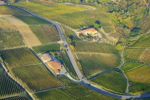 Vista aerea dei vigneti della regione collinare delle Langhe, Piemonte, Nord Italia, stagione autunnale. sito Unesco dal 2014.