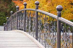 bellissimo natura autunno paesaggio con piccolo ponte. scenario Visualizza su autunno città parco con d'oro giallo fogliame nel nuvoloso giorno foto