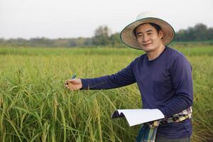 bello asiatico uomo contadino è a risaia campo, indossare cappello, blu camicia, detiene taccuino carta, ispeziona crescita e malattia di impianti. concetto, agricoltura ricerca e studia per sviluppare raccolti. foto